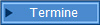 Termine